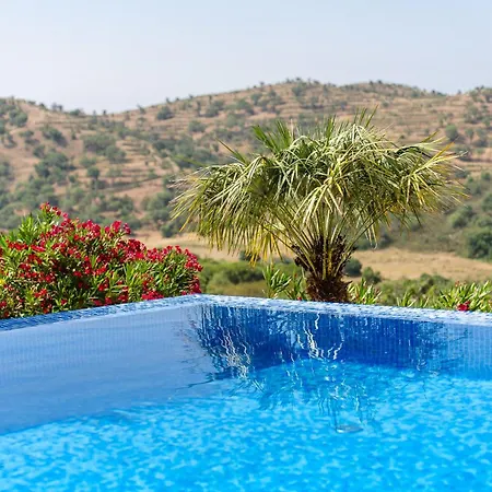Vila Sernadinha - Infinity Pool & Mountain Views Bensafrim