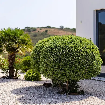 Sernadinha - Infinity Pool & Mountain Views Вилла *
